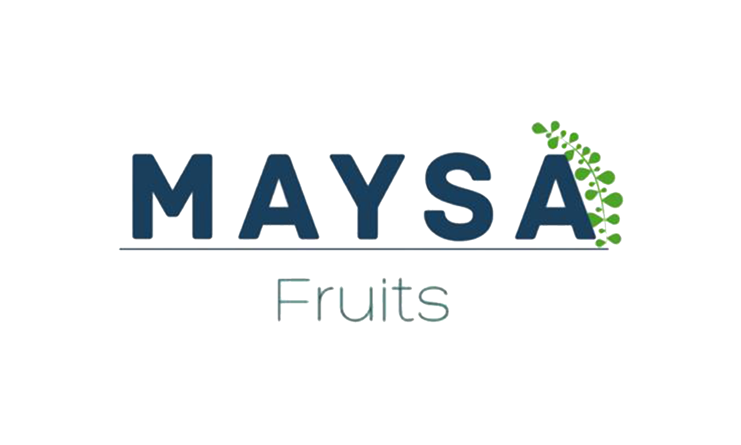 maysa